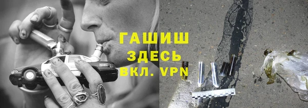 индика Мегион