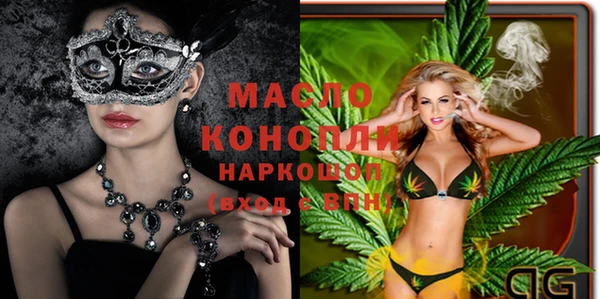 индика Мегион