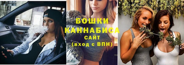 молекула духа Медногорск