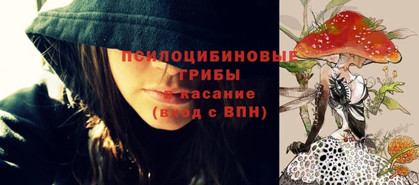 МДМА Медвежьегорск