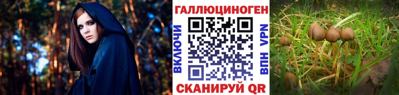 Галлюциногенные грибы MAGIC MUSHROOMS  Купить где  Южно-Сахалинск 